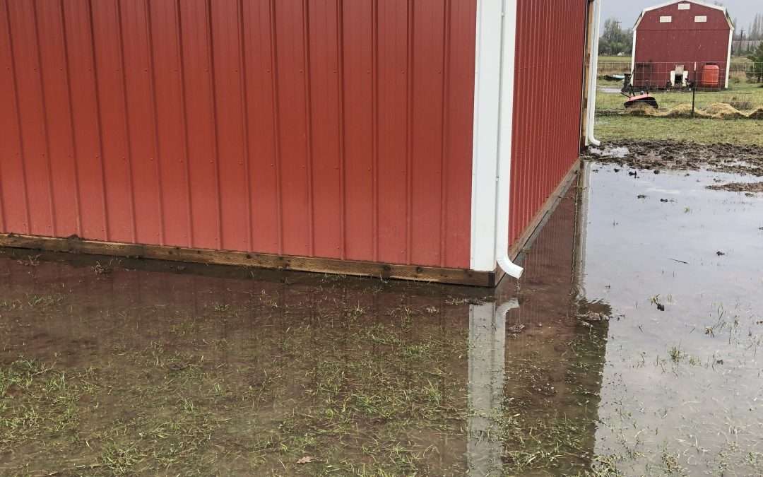 We Built a Cow Barn. And It Flooded.