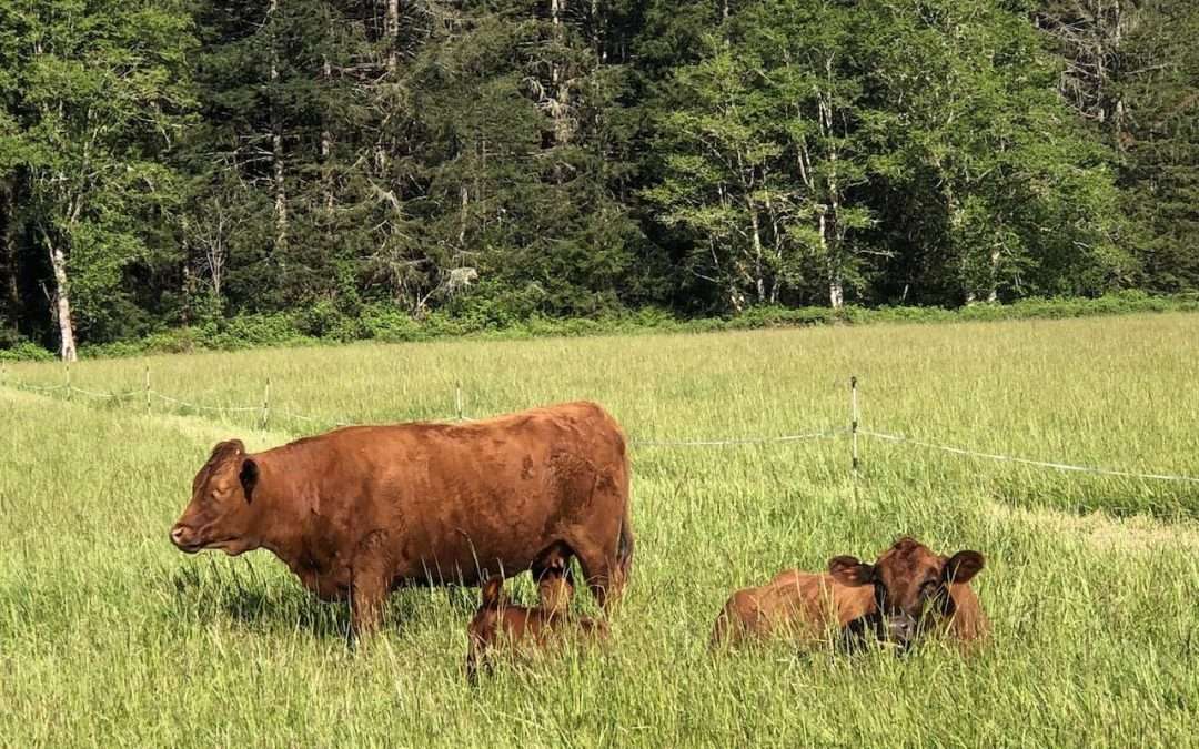 “Don’t bother me. I’m carbon farming.”