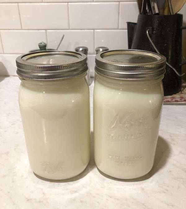 Yes, It IS This Easy to Make Your Own Yogurt