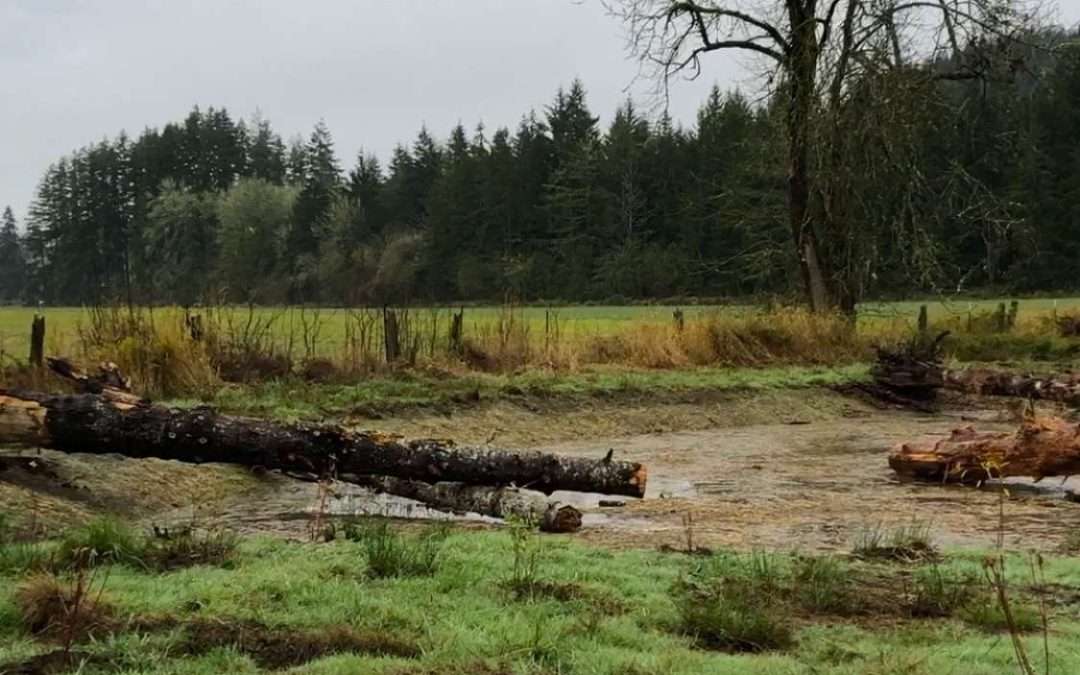 Wetland Restoration Is a Reality!
