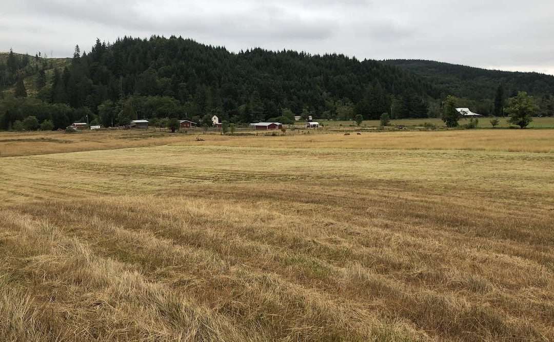 The Pastures Are Kicking Our Ass-tures